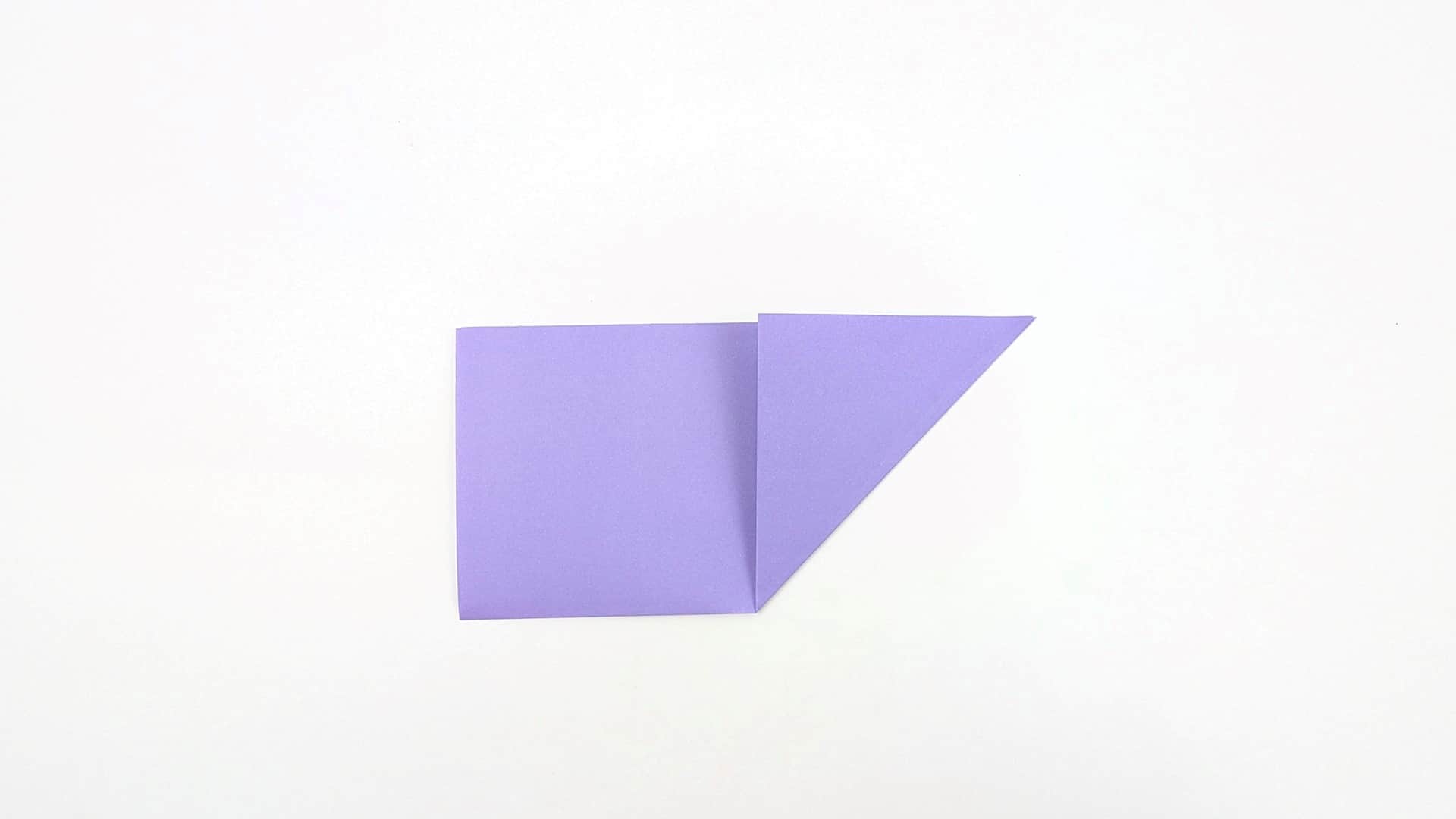 Fold the top-right corner down diagonally to the bottom-left corner of the right half. The right side becomes a triangle while the left remains a square.