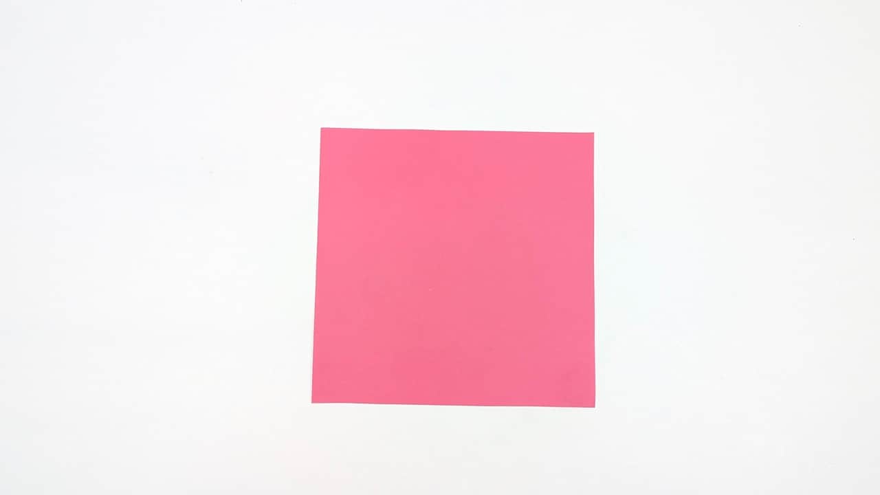 Start with a square sheet of paper, white side up. Place it as a diamond with one corner pointing toward you.