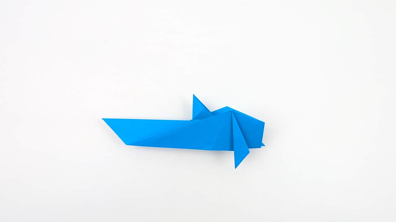 Fold the left pectoral fin point outward and downward to match.