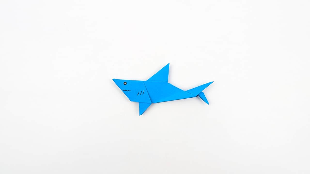 Your origami shark is complete! Draw an eye and gill lines with a marker for a finishing touch. Display with the nose pointing forward for maximum impact.